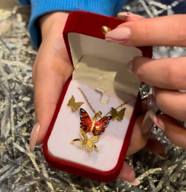 Pack Bijoux Papillon Enchanté